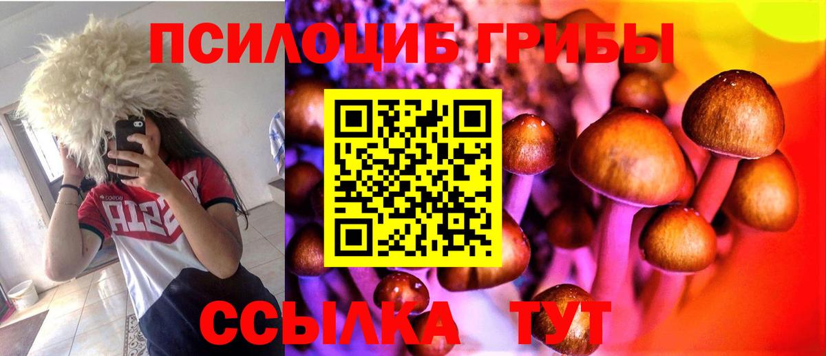 Псилоцибиновые грибы ЛСД Мариинск